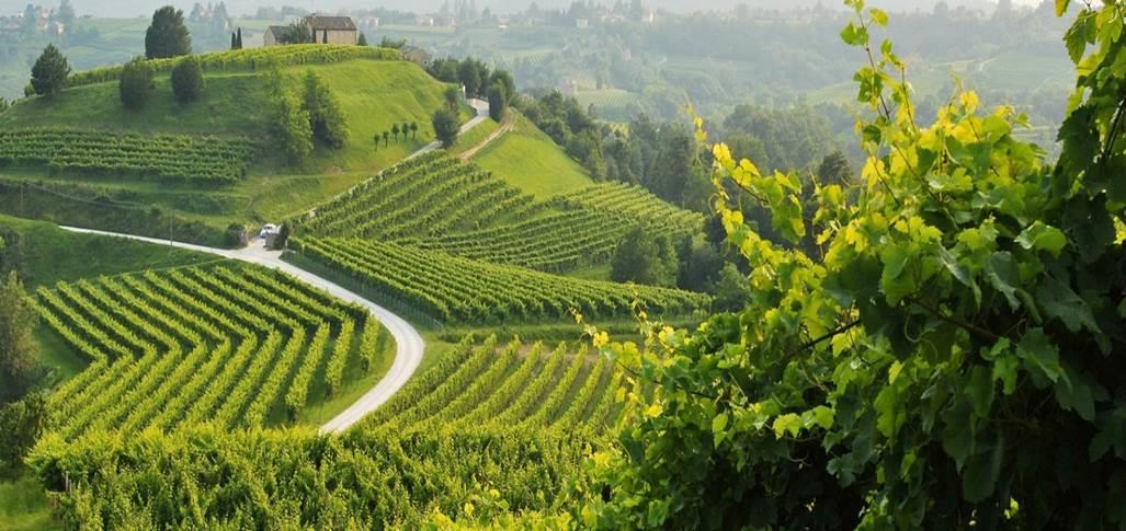 Prosecco Land im Herbst | Italien